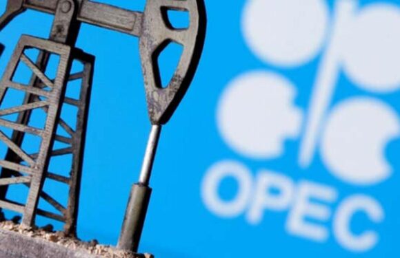 OPEC’in petrol üretimi ağustosta geriledi