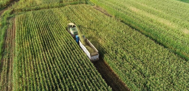 Üretim planlaması, tarımda verimliliği artıracak