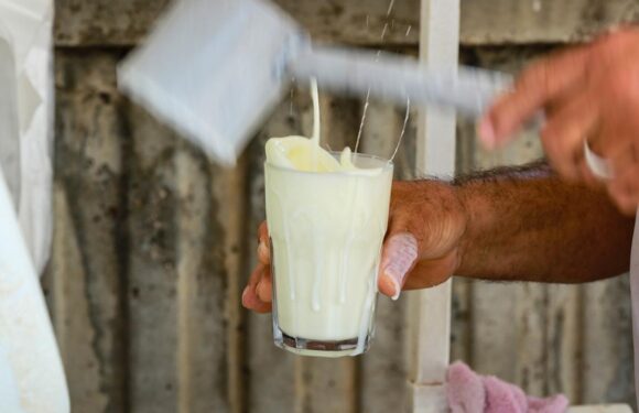 Ayran üretiminde rekor