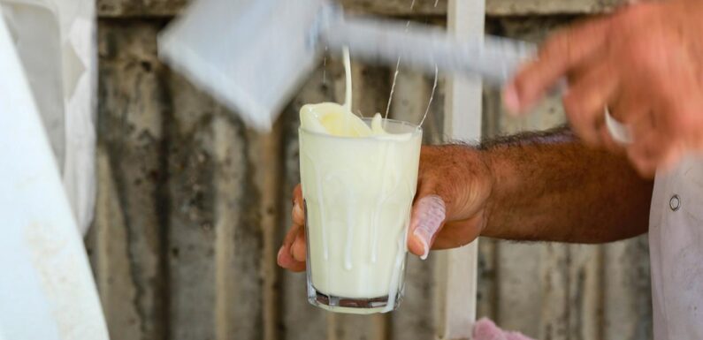 Ayran üretiminde rekor