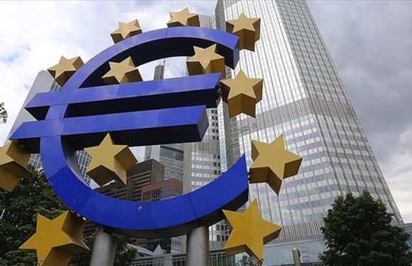 ECB’den faiz indirim kararı