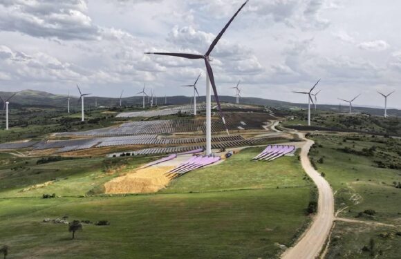 Yenilenebilir enerjinin elektrik kurulu gücündeki oranı yüzde 59’a ulaştı