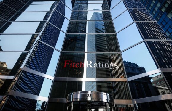 Fitch Ratings ECB’nin faiz indirim hızını artırmasını bekliyor