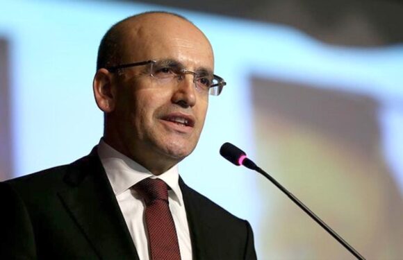 Mehmet Şimşek: Haziranda başlayan dezenflasyon süreci devam ediyor