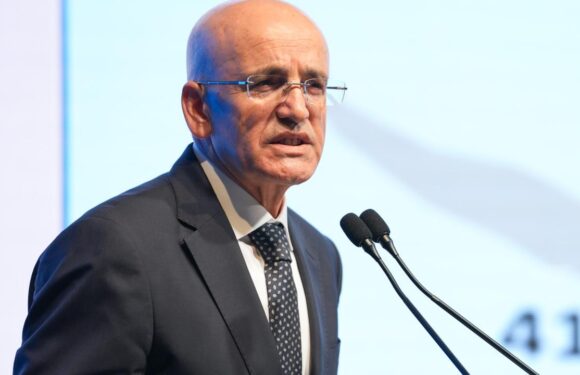 Bakan Şimşek: Hedef enflasyonu 2026 sonunda tek haneye indirmek