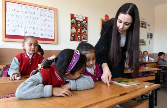 Ara tatilde öğretmen seminerleri çevrim içi yapılacak