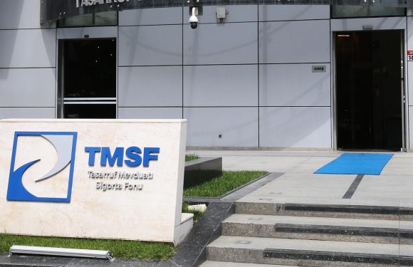 TMSF 3 şirketi satışa çıkardı