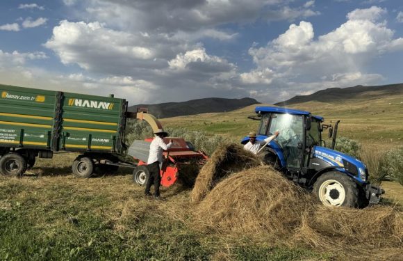 Dost Mezat ile genç ve kadın üreticilere nakit yem desteği