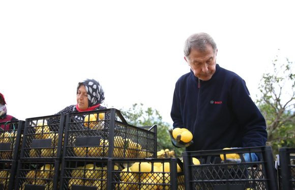 Depremzede üreticilere destek sürüyor