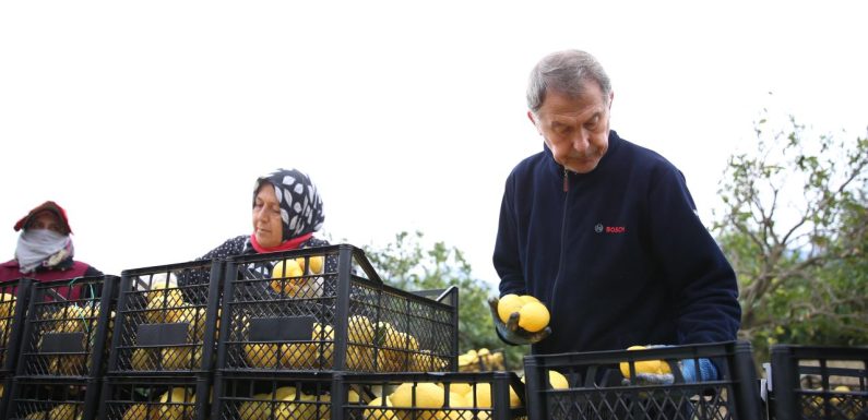 Depremzede üreticilere destek sürüyor