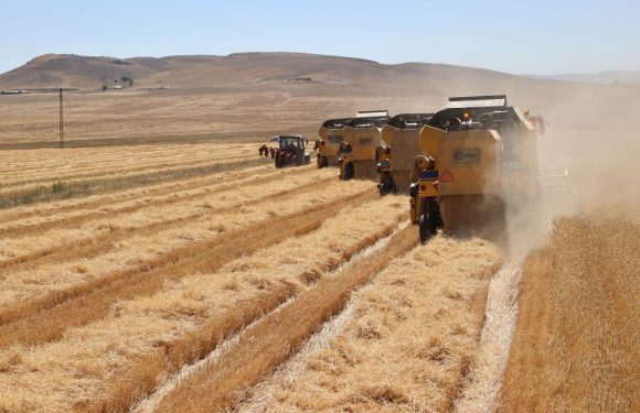 Tarımsal destekleme ödemeleri çiftçilerin hesaplarına aktarılıyor