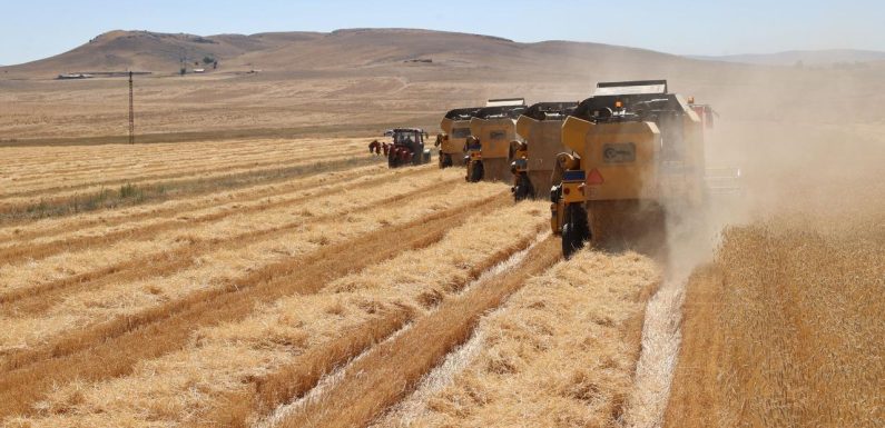 Tarımsal destekleme ödemeleri çiftçilerin hesaplarına aktarılıyor