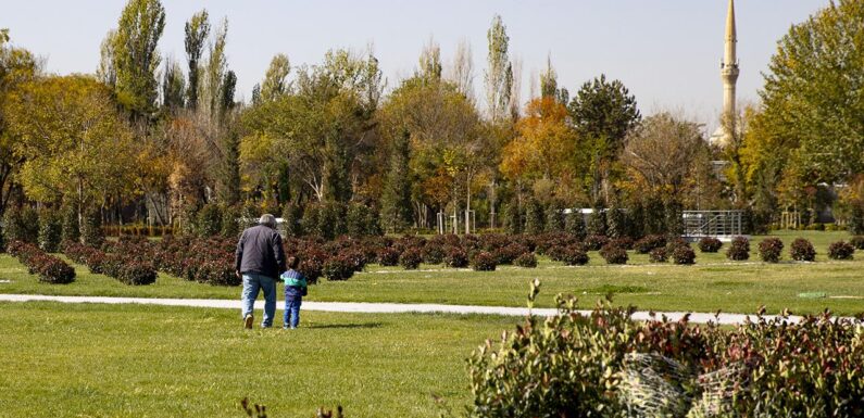 Çevreyi korumaya harcamaları 224,6 milyar liraya ulaştı