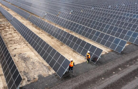 Güneş enerjisinde yıl sonu hedefi 20 bin megavat