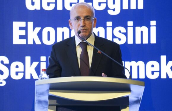 Bakan Şimşek: Hedefimiz fiyat istikrarını sağlamak