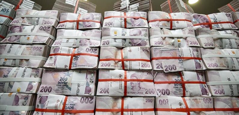 Bankaların net karı kasımda 583,1 milyar lira oldu