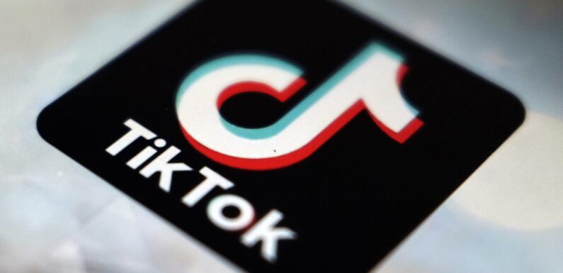 TikTok, Türkiye’de 6 ayda 7,1 milyon içeriği kaldırdı