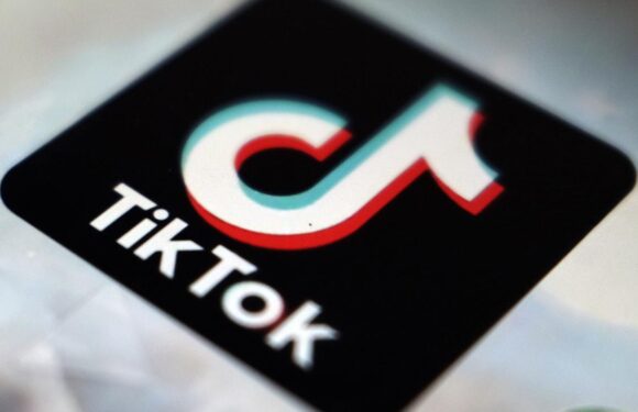 TikTok, yasaklanmasının önünü açan yasanın durdurulmasını istedi