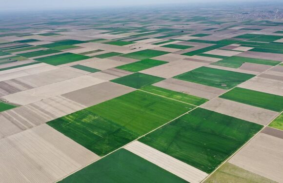 Yeni KOP Eylem Planı Konya Ovası’nı dört koldan canlandıracak