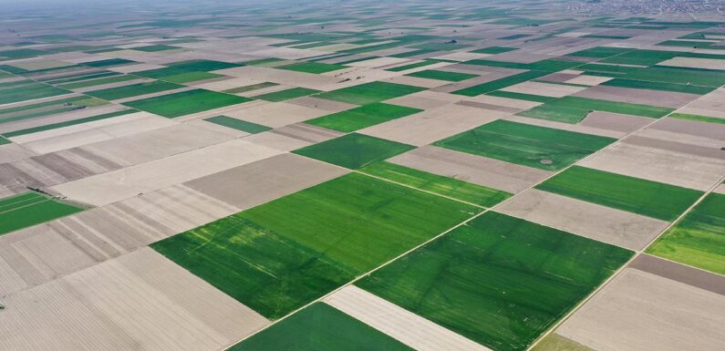 Yeni KOP Eylem Planı Konya Ovası’nı dört koldan canlandıracak