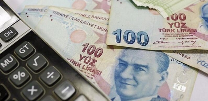 Çiftçilere 985,9 milyon lira destek ödemesi yapılacak