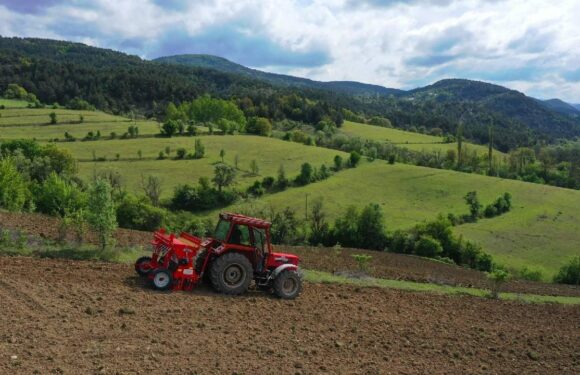 Tarım ve kırsal kalkınmada 100 projeye 461 milyon lira hibe ödenecek