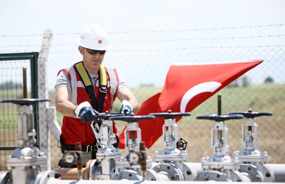 Bu yılın en yatırımcı KİT’i TPAO olacak