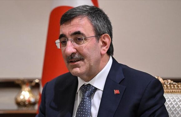 Cevdet Yılmaz: Enflasyonun yıl sonunda yüzde 20 civarında gerçekleşmesini bekliyoruz