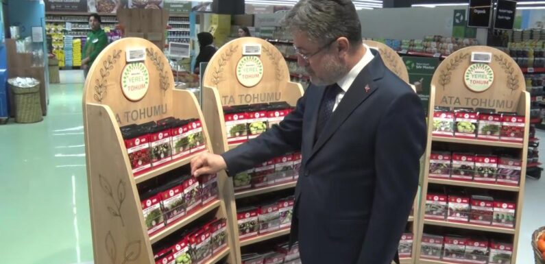 Tescillenen ata tohumları Tarım Kredi marketlerinde satışa sunuldu