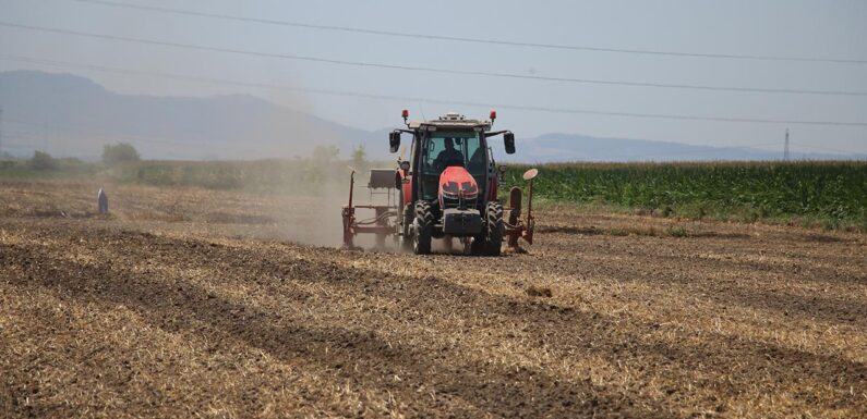 Kırsal kalkınmaya 246,6 milyar liralık yatırım